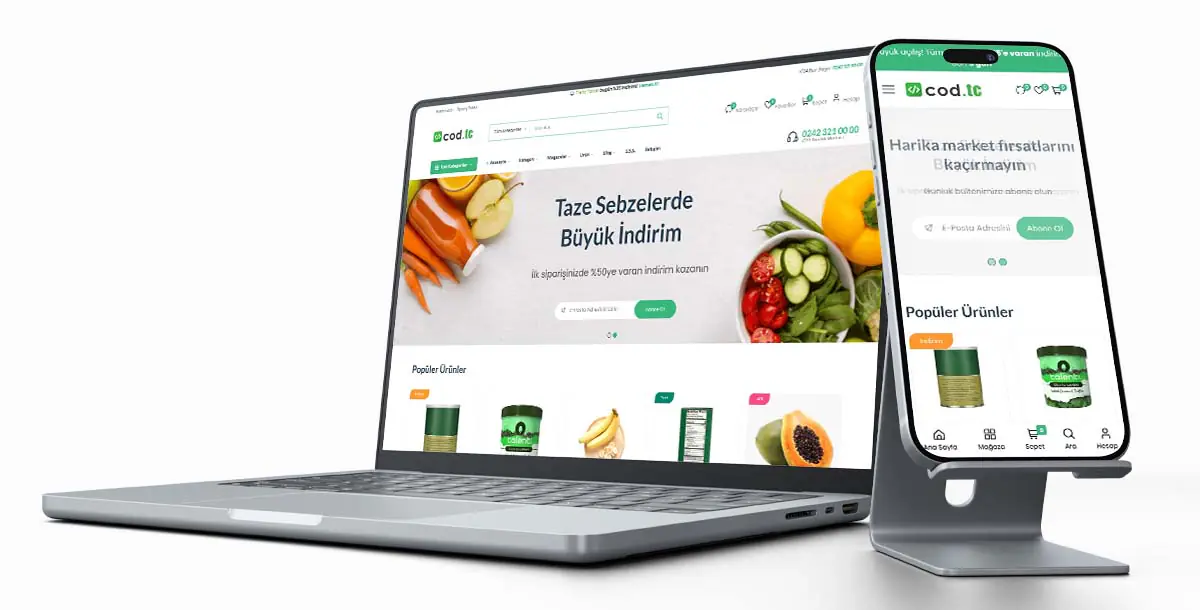 E-Ticaret Web Sitesi Paketi V6 + Pazaryeri + Hosting Hizmeti